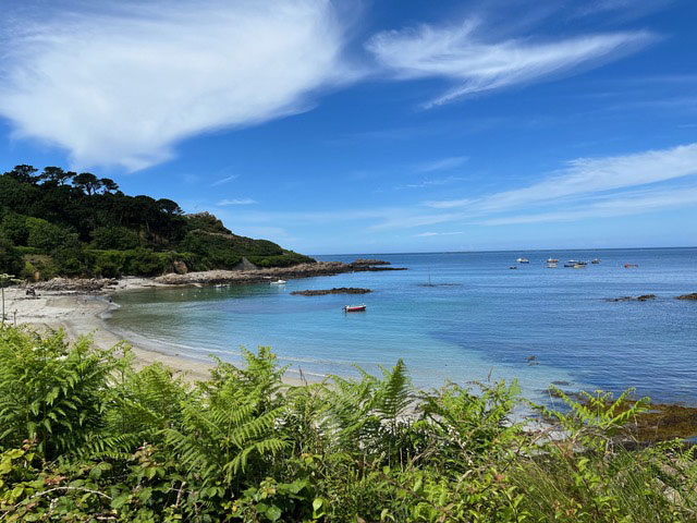 Guernsey Local Produce & Hedge Veg Tour